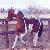 Rococo's son "Moonlight Hy-colortyme" Standing as a stallion in the U.K.
