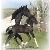 2008 Colt by Nico (Friesian / Dutch Warmblood)