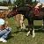 2008 filly Vienna being visited by her new owner